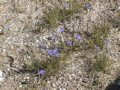 2006_WY 174