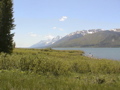 2006_WY 176