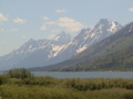 2006_WY 177