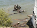 2006_WY 182
