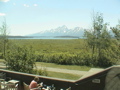 2006_WY 186
