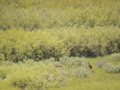 2006_WY 187
