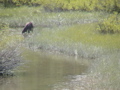 2006_WY 190
