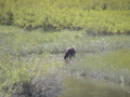 2006_WY 191