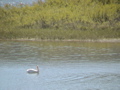 2006_WY 192