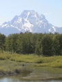 2006_WY 193