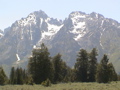 2006_WY 196