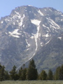 2006_WY 198