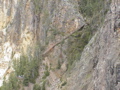 2006_WY 086