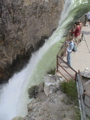 2006_WY 089
