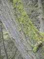 2006_WY 097