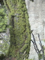 2006_WY 098