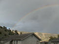 2006_WY 101