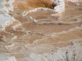2006_WY 107