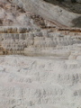 2006_WY 109