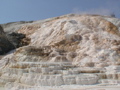 2006_WY 110