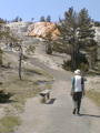2006_WY 118
