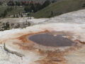 2006_WY 120