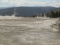 2006_WY 121