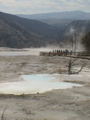 2006_WY 122