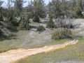 2006_WY 123