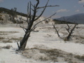 2006_WY 124