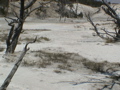 2006_WY 125