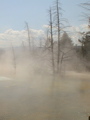 2006_WY 127