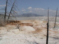 2006_WY 128