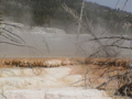 2006_WY 129