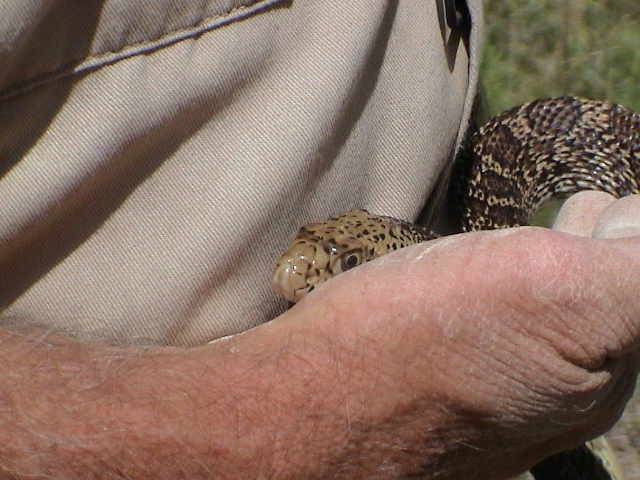 DSC00043.JPG