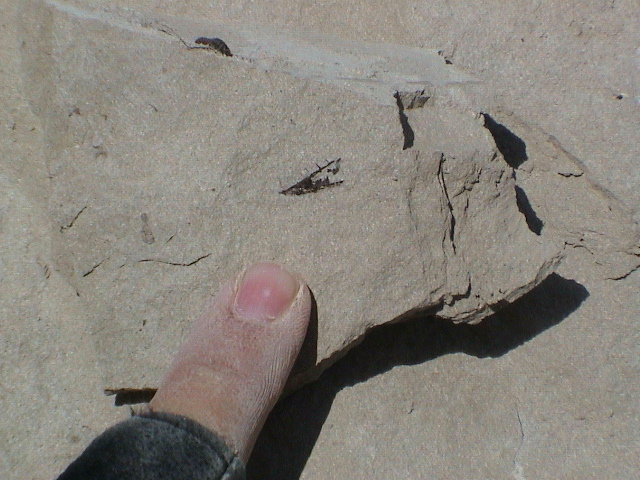 DSC00049.JPG
