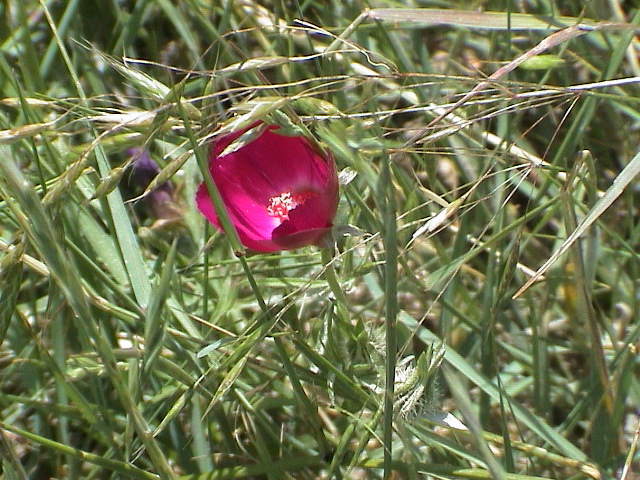 DSC00054.JPG