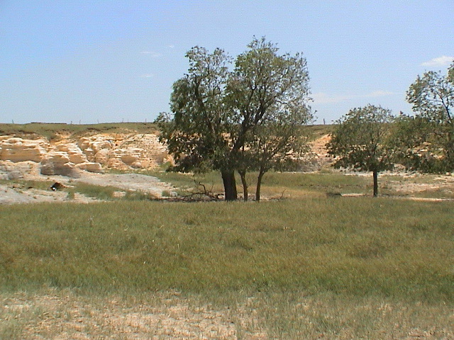 DSC00059.JPG