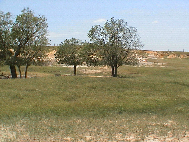 DSC00060.JPG