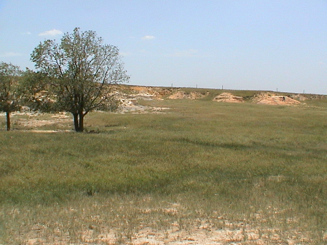 DSC00061.JPG