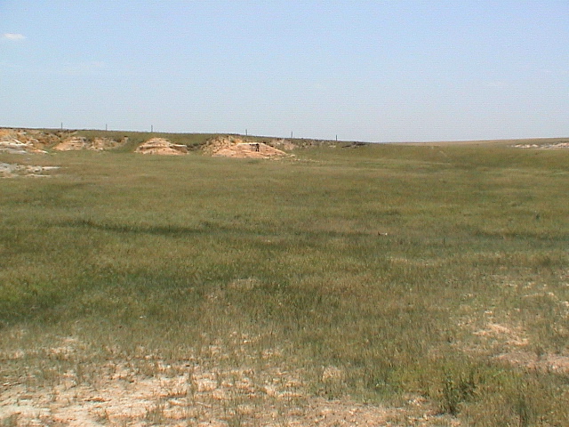 DSC00062.JPG