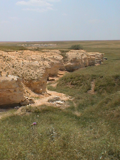 DSC00068.JPG