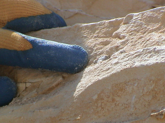 DSC00009.JPG