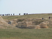 DSC00001.JPG