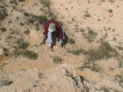 DSC00002.JPG