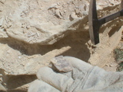 DSC00012.JPG