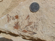 DSC00016.JPG