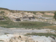DSC00022.JPG