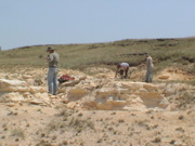 DSC00026.JPG