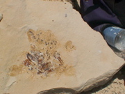 DSC00027.JPG