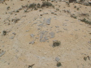 DSC00038.JPG