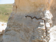 DSC00040.JPG
