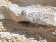 DSC00008.JPG