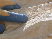 DSC00009.JPG